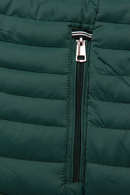 Steppjacke mit Kapuze Grün