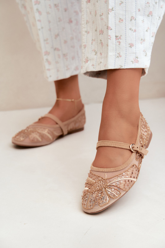 Netz-Ballerina mit Stickerei und Pailletten beige