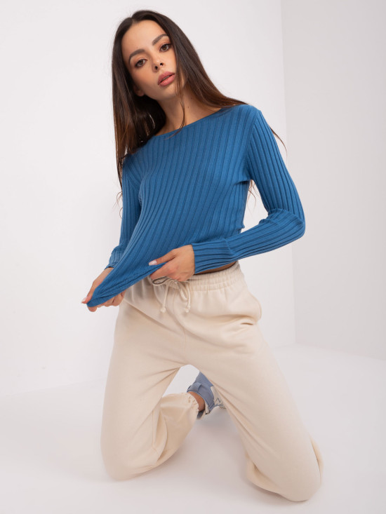 Dunkelblauer klassischer Pullover mit Streifen