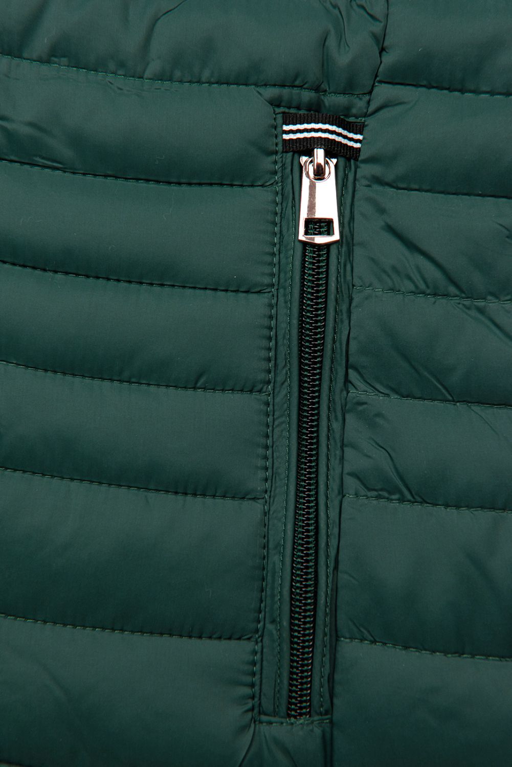 Steppjacke mit Kapuze Grün