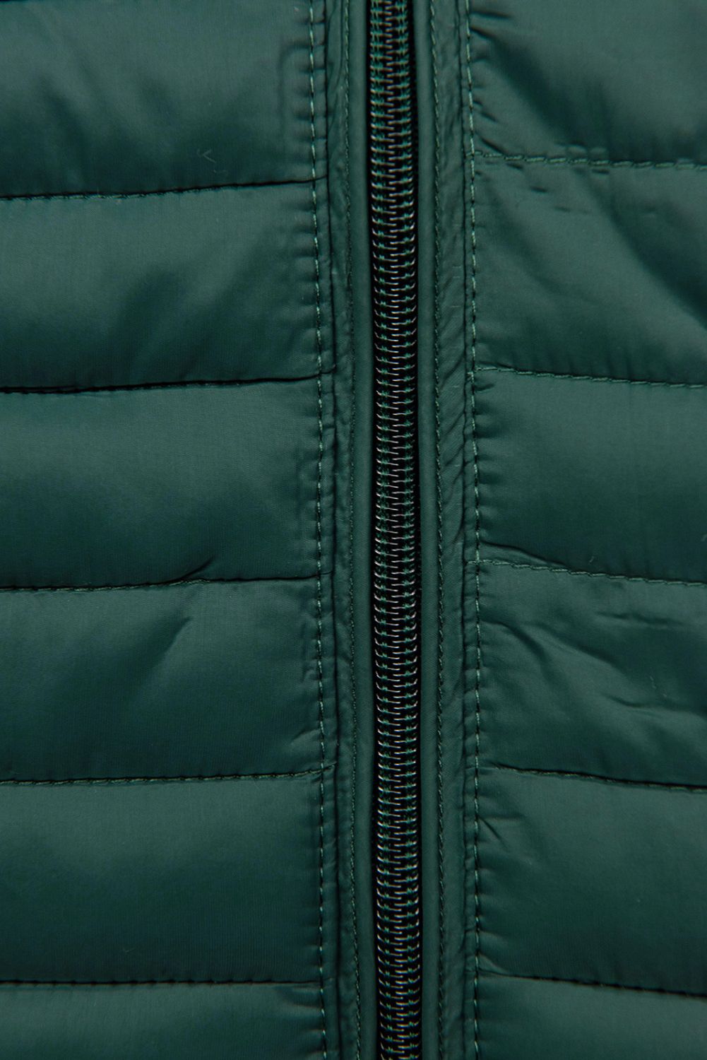 Steppjacke mit Kapuze Grün