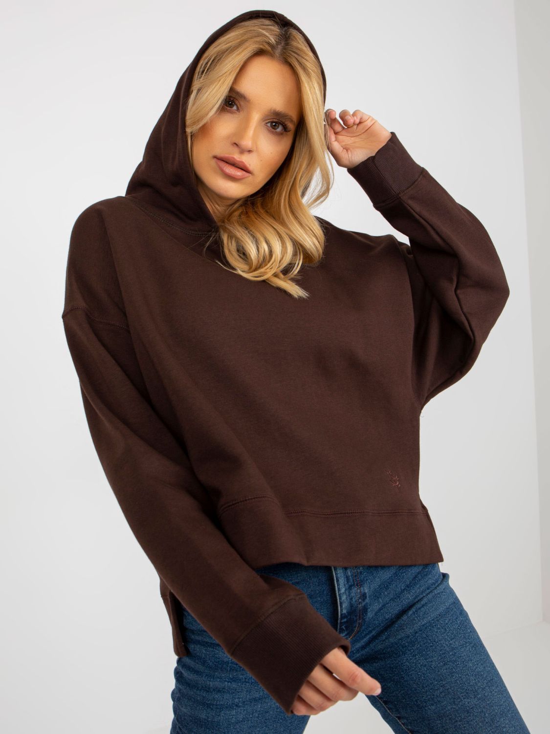Brauner Sweatshirt mit Kapuze MAYFLIES