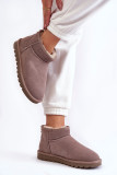 Graue niedrige Wildleder-Snowboots