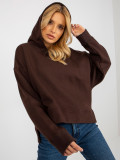 Brauner Sweatshirt mit Kapuze MAYFLIES
