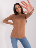 Brauner figurbetonter Pullover mit Rollkragen