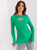 Grüner klassischer Pullover mit Ausschnitt