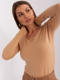 Klassischer brauner Pullover mit langen Ärmeln